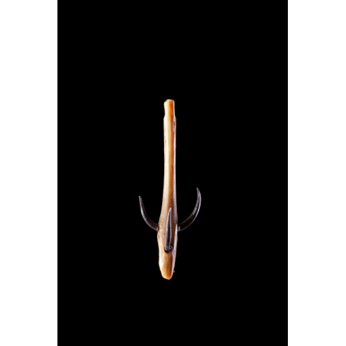 Bering Strait Eskimo Inuit Walrus Ivory Tomcod Fishing Hook